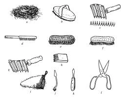 Ápolás , lótartás