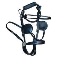 Kantár és tartozékai