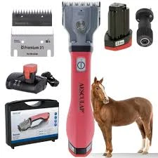 Ápolóeszközök (ló)