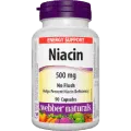 B3 (Niacin)